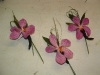 Boutineer